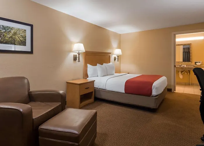 Best Western Covington